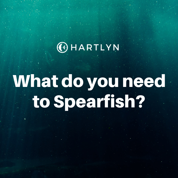 What do you need to spearfish?