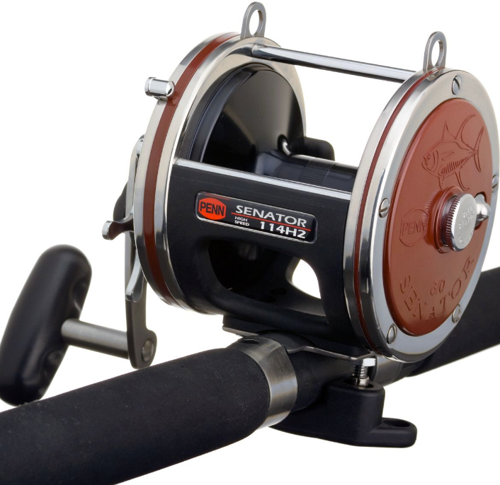 リール PENN SENATOR PENN Special Senator® Star Drag Conventional Reel | PENN